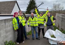 Former mayor declares 'war on weeds' after launching volunteer group