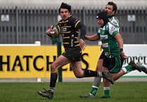 Cornwall beaten in Tamar Cup clash at Plymouth Albion