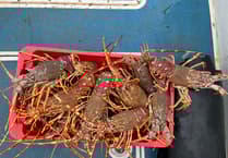 Fishermen fined nearly £10,000 over illegal shellfish offences