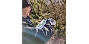 Delabole artists joins collaboration with water gardens