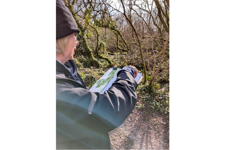 Sharon Bruster creates art inspired by the waterscape at Lanjeth Nursery and Water Gardens.