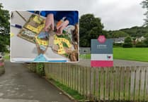 Pupils get creative designing 'Healing Garden' for Cornish hospital