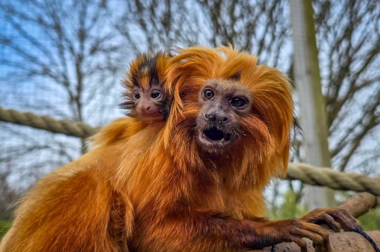 The baby was born on March 17 to 13-year-old mother Missy and 16-year-old father Duoredo