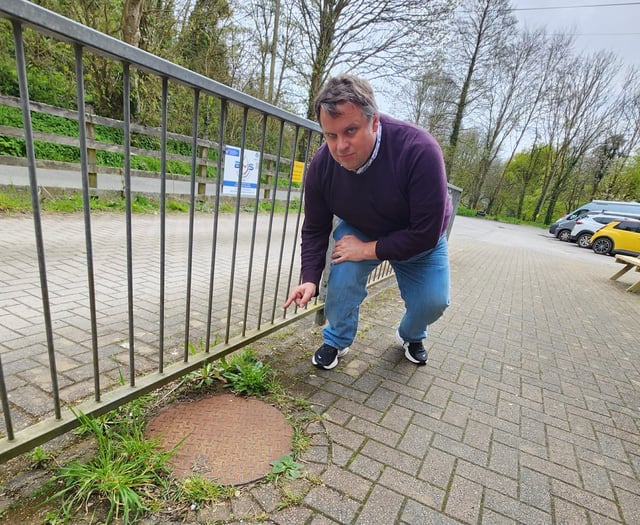 In My View: Opposed to use of harmful chemicals for weeding