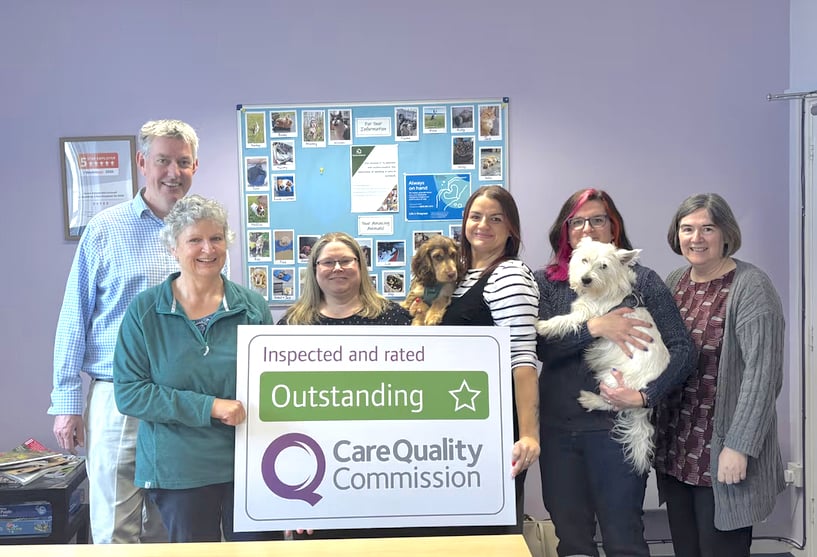Care agency rated as outstanding