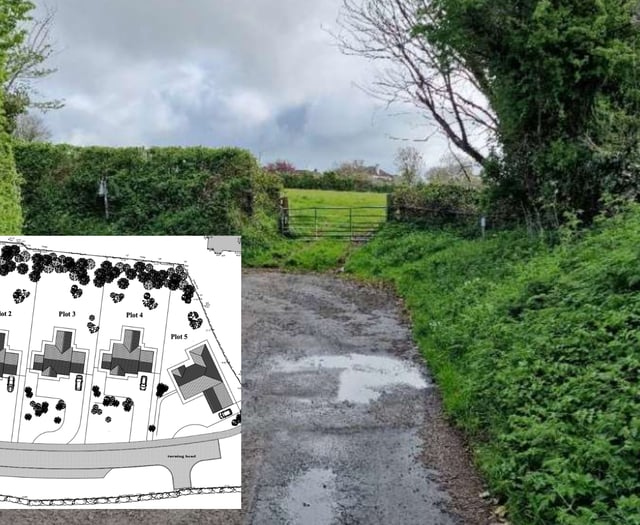 Five dwellings approved despite concerns