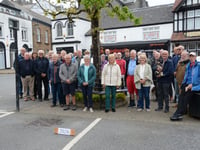 Guardians measure Holsworthy's iconic Great Tree growth