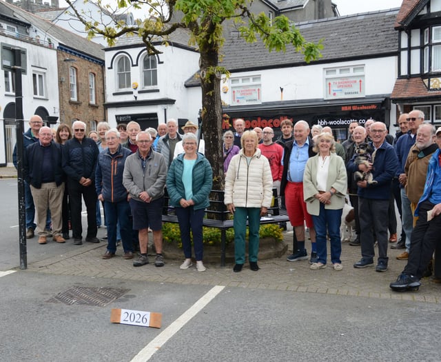 Guardians measure Holsworthy's iconic Great Tree growth