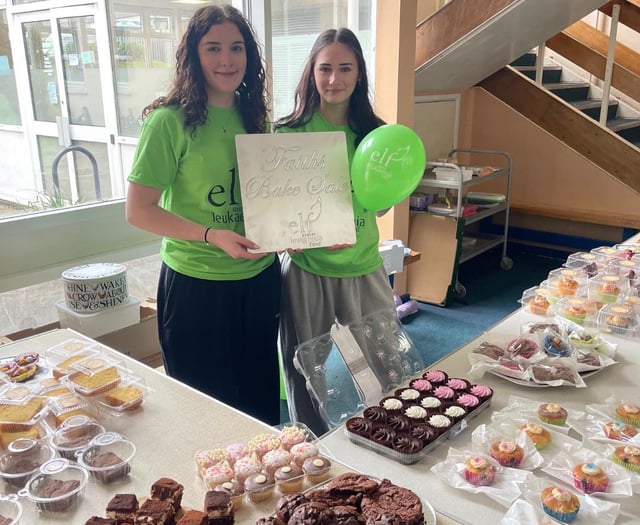 Student's bake sale raises £740 for charity