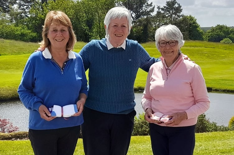Mary Brinsley, Sue Wenmoth and Wendy Phillips.