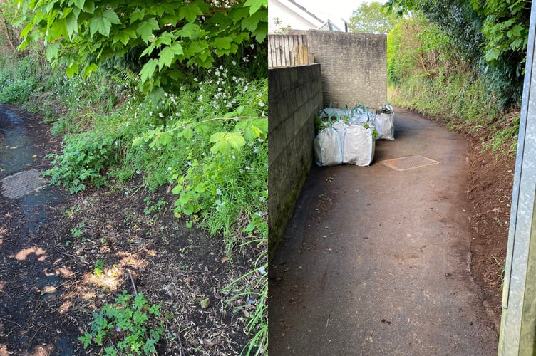 Before and after a Bodmin WIT session (Picture: Bodmin Weed It Team)