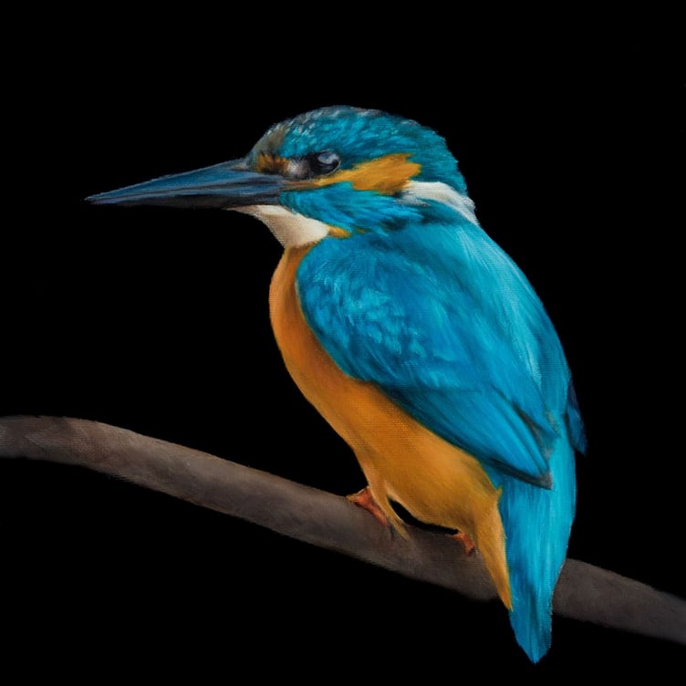 Laura Jefferson of Lanreath, Looe, will be showing her drawing and painting skills