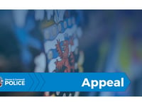Police launch appeal for witnesses after two-vehicle collision 