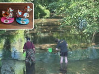 Community comes together for successful Lions duck race