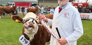Join us as we explore Royal Cornwall Show on day one