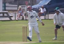 Walter hails bowlers after epic Trees fightback