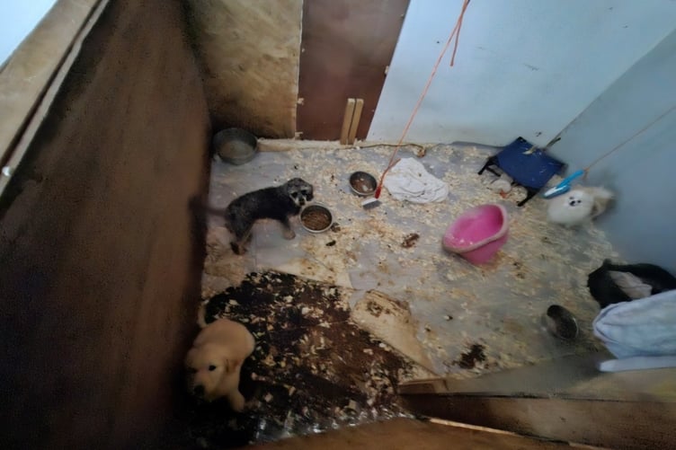 The living conditions inside the Woolsery property (Picture: Torridge District Council)