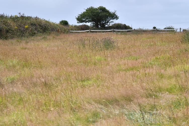 The land in Delabole which the properties could be built on (Picture: Adrian Jasper)