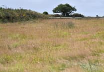 Objections raised to plans to build five houses in Delabole