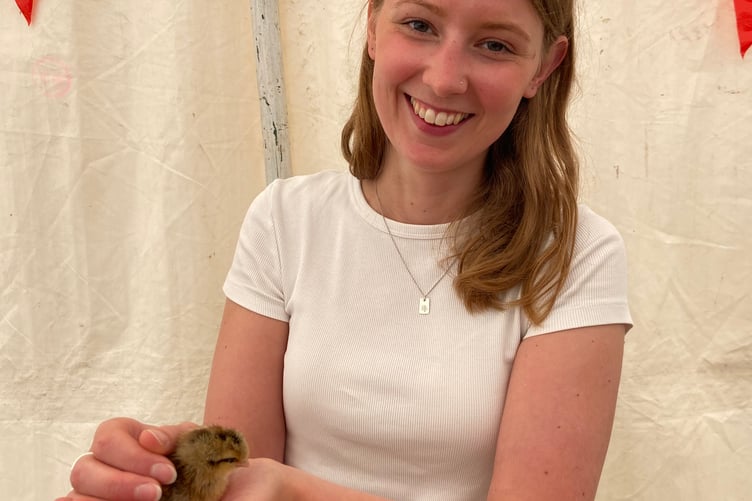 Chloe Davies was on 'chick watch' at the show as some of her family's Australorps had chosen show day as their cue to make an entrance. Cherry Tree Rare Breeds, run by Chloe's parents, host the poultry section at Launceston Show and were pleased to be able to offer visitors, young and old, the opportunity to handle these small creatures - gently of course - and learn more about the breed and what it takes to rear a chicken.