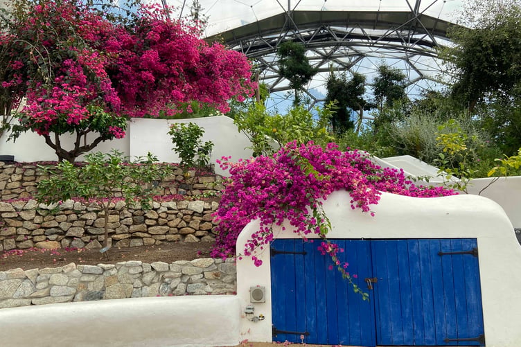 The Mediterranean biome can provide inspiration for dealing with hot and dry summers. (Picture: Andrew Townsend)
