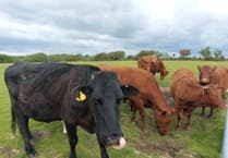 It is time for the government to back our farmers in their hour of need