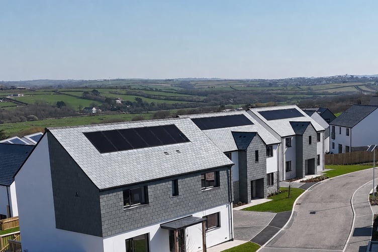 Some of the new properties at Upton Green. (Picture: Legacy Properties)
