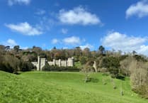 Remarkable story of Cornish involvement in plant hunting and breeding
