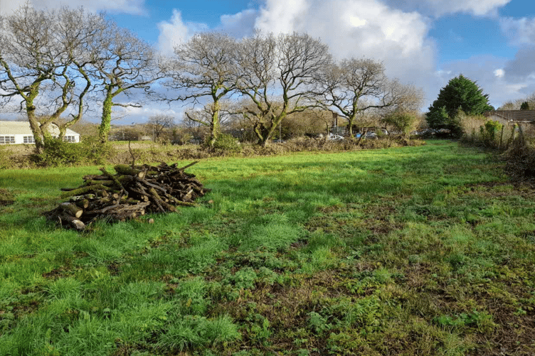 The land at Dobles Lane which could be developed into five houses (Picture: TDC)