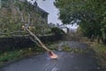 Storm Austen causing chaos in Cornwall - updates