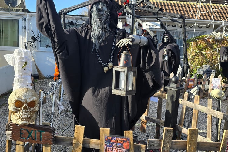 The spooky garden is completely free to visit, with donations for the Cornish animal rescue charity The Last Chance Hotel entirely voluntary