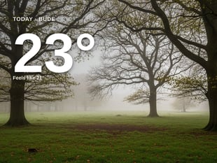 Bude: misty day, high of 23°C